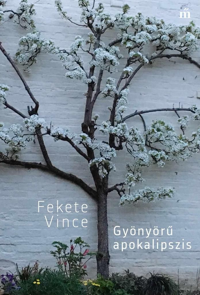 Fekete_Vince_Gyonyoru_apokalipszis.jpg