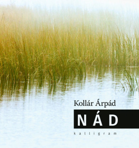 Kust__r_Gy__rgy_Koll__r___rp__-_N__d.jpg